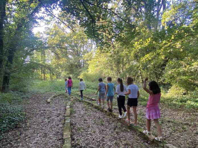 verde brillante pantaleone 2022