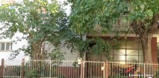 Casa abbandonata in via Boito: residenti esasperati da topi, nutrie e altri animali