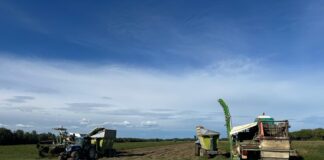 Alluvione, la solidarietà delle CAB salva il raccolto