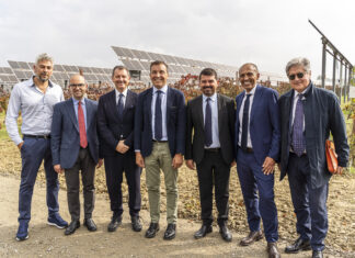 Gruppo Caviro ha inaugurato il più grande impianto Agrivoltaico avanzato
