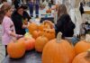 “Ravenna Halloween”: in piazza Kennedy giostre e laboratori