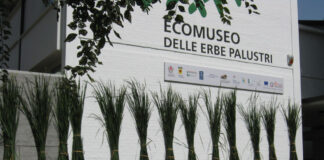 Bagnacavallo: “La solidarietà delle piante selvatiche” tra l’Ecomuseo e l’Orto Radisa