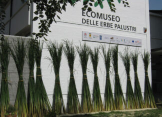 Bagnacavallo: “La solidarietà delle piante selvatiche” tra l’Ecomuseo e l’Orto Radisa