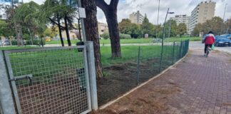 Ancisi (LpRA): Recinzione ripristinata nell’area cani su via Cicognani