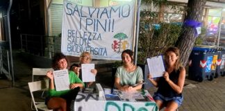 Ultimi giorni di raccolta firme per i pini di via Maggiore e di Lido di Savio. Banchetto no-stop sabato 12 ottobre