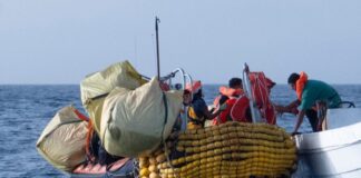 Ravenna in Comune: “Ravenna non è meglio di Piantedosi”