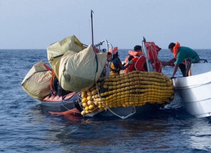 IMG_20241015_051935_482