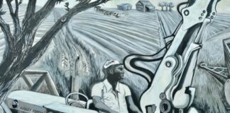 Passeggiata dei murales a Villanova di Bagnacavallo