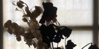 Lugo: ultimo fine settimana per la mostra «Acqua e sangue», un incontro con l’artista Gogo della Luna