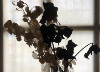 Lugo: ultimo fine settimana per la mostra «Acqua e sangue», un incontro con l’artista Gogo della Luna