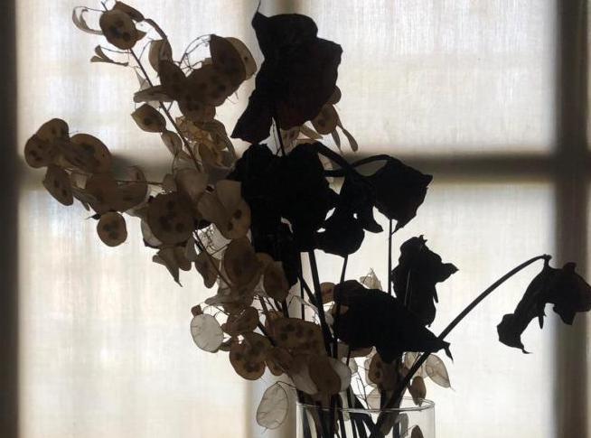 Opera Gogo della Luna