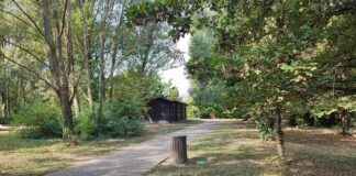 Bassa Romagna: «Bird party» al Parco del loto