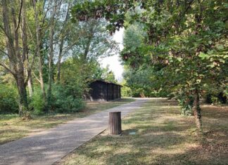 Bassa Romagna: «Bird party» al Parco del loto