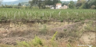 In via Sarna il Lamone si sta “mangiando” sempre più terreno