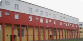 Ancisi (Lista per Ravenna): “Le case popolari di via Patuelli infestate dai topi”