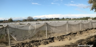 Via libera della Regione al progetto per proteggere il borgo di Faenza dalle esondazioni del Marzeno