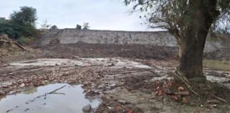 Rosaria Tassinari (FI). “Traversara di Bagnacavallo: territorio non rimanga senza risposte, presentata interrogazione al ministro”