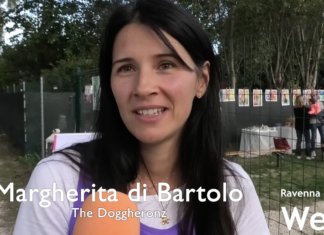 “Holi dog”: un pomeriggio alle porte di Ravenna per conoscere i cani del canile
