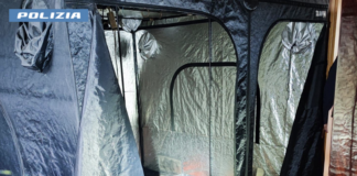 Faenza: la Polizia di Stato arresta un uomo per produzione e traffico di droga