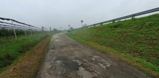 Vitali (PdF): “In Via Modanesi asfalto in pessime condizioni”