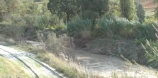 Monitoraggio fiumi: gruppi di cittadini si stanno organizzando per sorvegliare Senio e Santerno