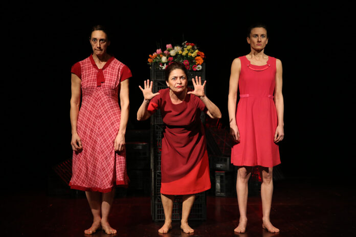 Teatro Due Mondi, Vedrai, vedrai - ph Stefano Tedioli (3) (1)