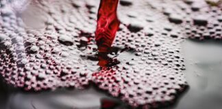 Lugo: un fine settimana alla scoperta dei vini italiani