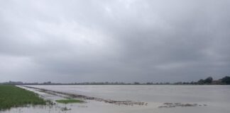 Maltempo: Coldiretti Emilia Romagna, colpito il cuore della regione