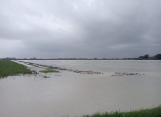 Maltempo: Coldiretti Emilia Romagna, colpito il cuore della regione