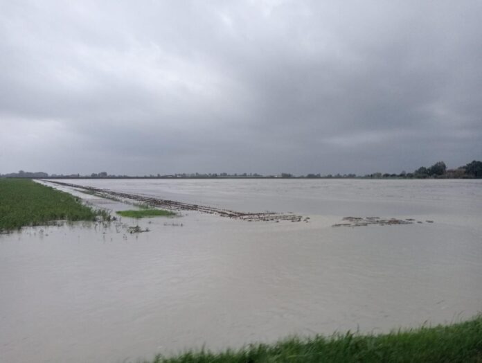 allagamenti bologna (1)