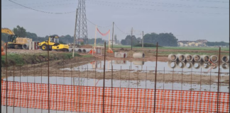 Tritto (FI): “In Viale Europa scelte inopportune e senza programmazione”