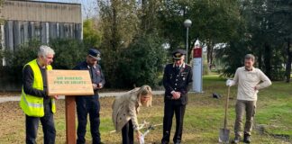 “Un albero per la salute”: messa a dimora di un albero nell’area ospedaliera di Ravenna