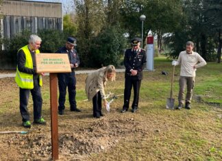 “Un albero per la salute”: messa a dimora di un albero nell’area ospedaliera di Ravenna