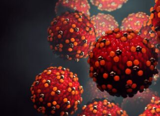 Morbillo, prosegue il libero accesso al vaccino per i giovani adulti non protetti