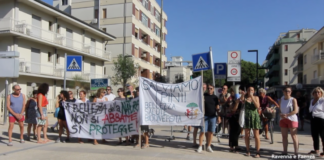 Per fermare l’abbattimento dei pini di Lido di Savio richiesto al Tribunale un provvedimento d’urgenza