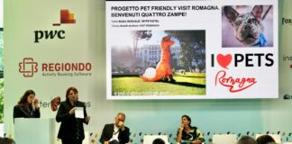 Turismo a quattro zampe: presentato il progetto “Romagna Pets” di Visit Romagna
