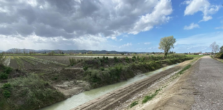 Via Casale: la nuova breccia sul Senio formata all’altezza di uno scarico a fiume dei terreni agricoli
