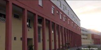 Topi in via Patuelli: interverrà Acer. Ma i residenti devono migliorare nel conferimento dei rifiuti