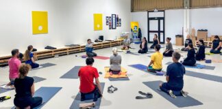 Net Seals: due ore di yoga e pilates al posto di due ore di lavoro settimanale