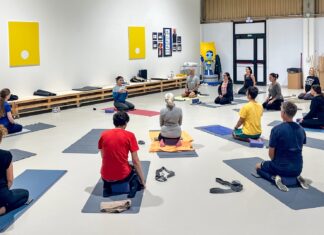 Net Seals: due ore di yoga e pilates al posto di due ore di lavoro settimanale