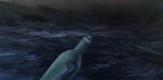 Lugo: in mostra i “Fiori d’artificio” di Silvano D’Ambrosio