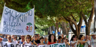 Domani nuovo presidio davanti al Tribunale per i pini di Lido di Savio