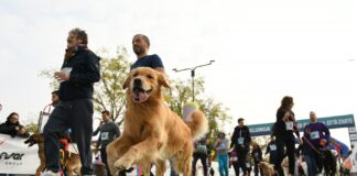 Esselunga Maratona di Ravenna Città d’Arte: grande evento di sport, turismo e promozione