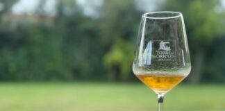 La tappa finale della rassegna “Sulla buona Strada” fa tappa a Faenza