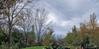 Faenza: celebrata la Giornata degli Alberi