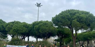 Sit-in in difesa dei pini di viale Vespucci a Lido di Classe