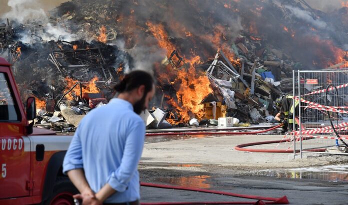 IMG_20241114_082618_804