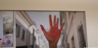 Inaugurata la mostra fotografica “Un anno con Linea Rosa” a Palazzo Rasponi