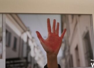 Inaugurata la mostra fotografica “Un anno con Linea Rosa” a Palazzo Rasponi