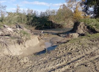 Coldiretti: Brisighella, nuove esondazioni e frutteti sott’acqua dopo appena 100mm di pioggia